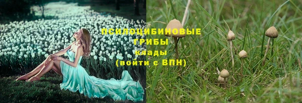 дмт Верхний Тагил