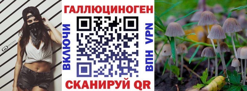 Псилоцибиновые грибы прущие грибы  Купить где  Клин 